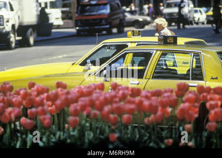 1987 CHEVROLET IMPALA HISTORIQUE Les taxis jaunes (©GENERAL MOTORS CORP 1985) PARK AVENUE MANHATTAN NEW YORK USA Banque D'Images