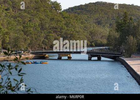 Le pont au-dessus de Cockle Creek à Bobbin Head en bande Ku-ring-gai Chase National Park dans le nord de Sydney. Dans l'arrière-plan sont des eucalyptus Banque D'Images