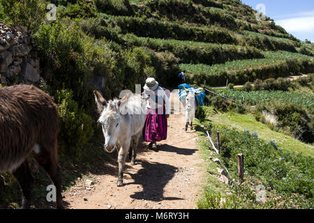 L'Isla del Sol, BOLIVIE - 7 janvier 2018 : une femme non identifiée avec les ânes sur Isla del Sol sur le lac Titicaca. C'est la plus grande île en haute altitu Banque D'Images