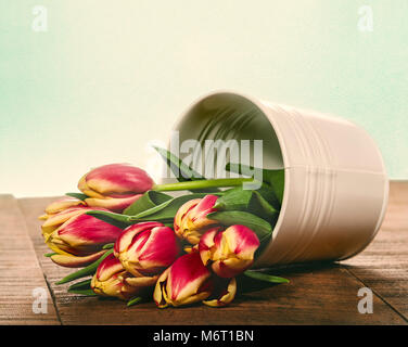 Des tulipes en métal blanc peut Banque D'Images