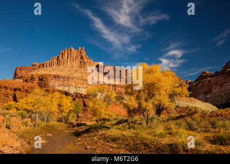 Des peupliers à l'automne, le château, Capitol Reef National Park, Utah Banque D'Images