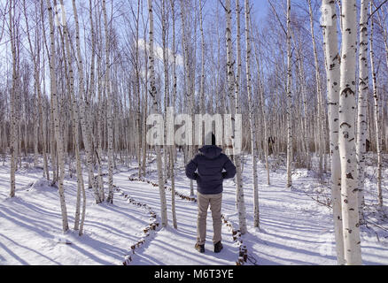 Un homme debout à forêt de bouleaux dans la journée d'été. Banque D'Images