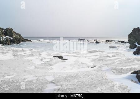Beaucoup de blocs de glace flottent dans l'eau de mer dans une baie pittoresque. Le printemps est arrivé. Paysage de la côte Est de la Russie Banque D'Images