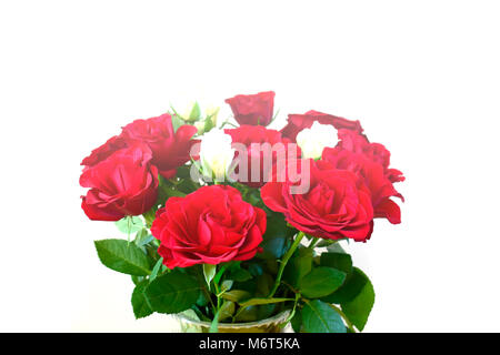 Soft focus de belles roses rouges et blanches avec des feuilles vertes isolé sur blanc dans un vase de verre sous la lumière du soleil utilisée pour l'arrière plan. Banque D'Images