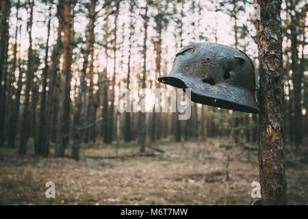 Endommagés par les balles et les éclats casque de métal de l'infanterie allemande soldat de la Wehrmacht lors de la Seconde Guerre mondiale. Casque rouillé accroché sur tronc d'arbre. Banque D'Images