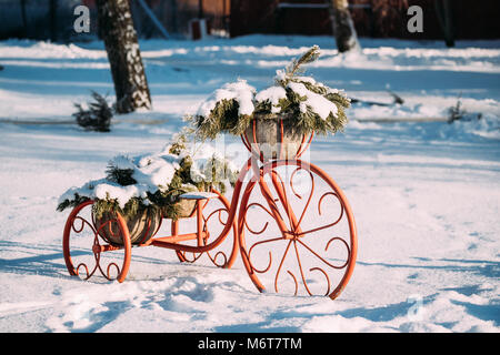 Vieux modèle Vintage de décoration location équipée Panier de branches enneigées de pin à l'hiver les jours ensoleillés. Banque D'Images