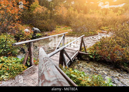 Passerelle en bois dans la forêt de la montagne d'eau, Hautes Tatras. Banque D'Images