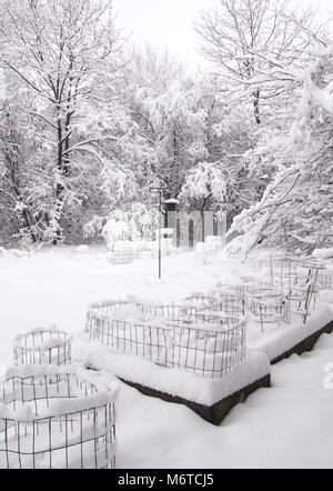 Jardin et de la forêt couverte de neige après une tempête hivernale Banque D'Images