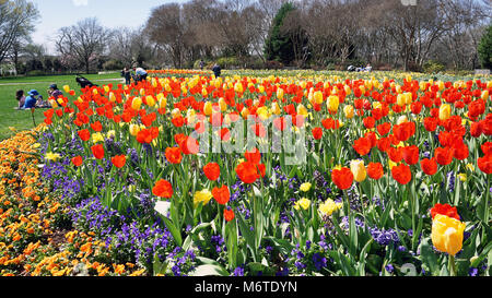 Dallas, Texas - Mars 6,2018 Dallas Arboretum and Botanical Garden, les gens ont un grand jour au début du printemps. Banque D'Images