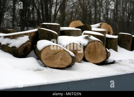 Blocs de bois de frêne sur un grand classique en hiver, Grand Union Canal, Warwick, Royaume-Uni Banque D'Images