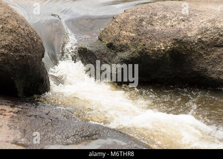 L'Coppename River près de Raleighvallen réserver, le Suriname, l'Amérique du Sud Banque D'Images