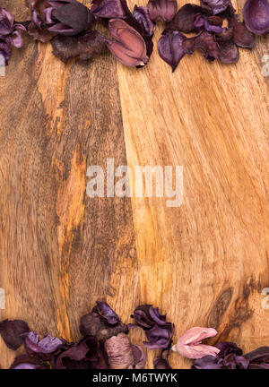 Fond de bois avec de petits éléments naturels Banque D'Images