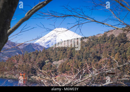 Vue du mont Fuji depuis le lac Ashi, Japon Banque D'Images