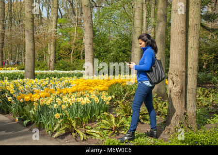 KEUKENHOF, lisse, Pays-bas-AVRIL 24, 2015les touristes appréciant les fleurs colorées au jardins de Keukenhof aux Pays-Bas Banque D'Images