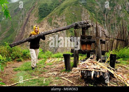 Sur le tourisme de trekking Choquequirao ruines debout près de la machine d'un aîné pour l'extrusion de la canne à sucre, le Pérou, Amérique du Sud Banque D'Images