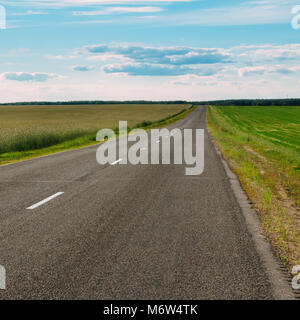 Les champs de blé qui se trouve à côté de l'autoroute de l'asphalte. Paysage. Personne ne Banque D'Images