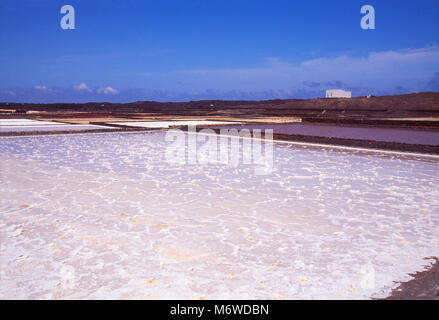 Salinas de Janubio Réserve Naturelle. Lanzarote, îles Canaries, Espagne. Banque D'Images