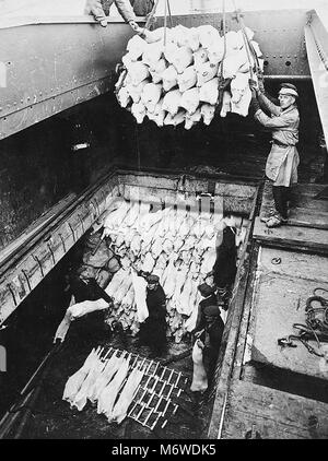 Le déchargement de la viande congelée dans le clan MacDougall' Banque D'Images