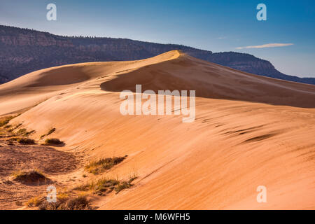 Dunes au lever du soleil, les montagnes Moquith à distance, Coral Pink Sand Dunes State Park, Utah, USA Banque D'Images