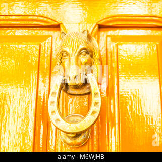 Porte avec heurtoir en laiton en forme de tête de cheval, belle entrée de la maison, décoration Banque D'Images