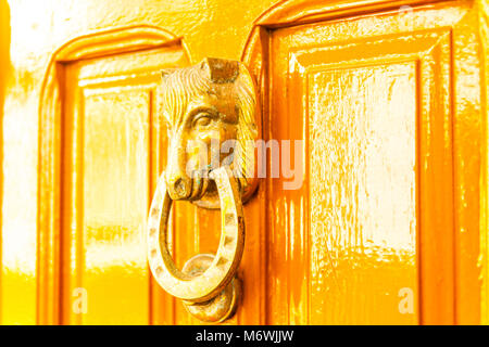 Porte avec heurtoir en laiton en forme de tête de cheval, belle entrée de la maison, décoration Banque D'Images