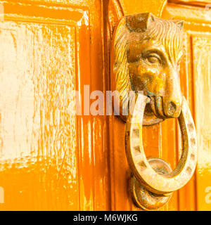 Porte avec heurtoir en laiton en forme de tête de cheval, belle entrée de la maison, décoration Banque D'Images