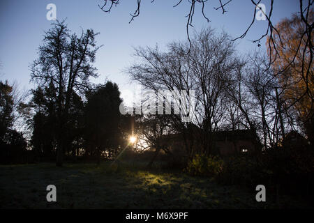 Un lever de soleil à travers des arbres dans un jardin avec un ciel bleu au-dessus dans le Worcestershire England UK Banque D'Images