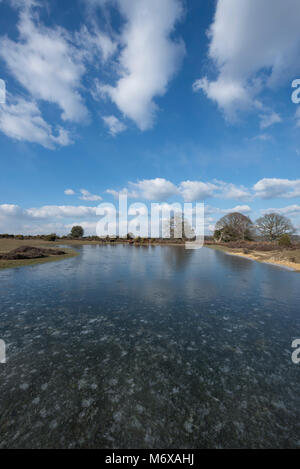 Un Mogshade congelés Étang dans la New Forest, Hampshire, Royaume-Uni Banque D'Images