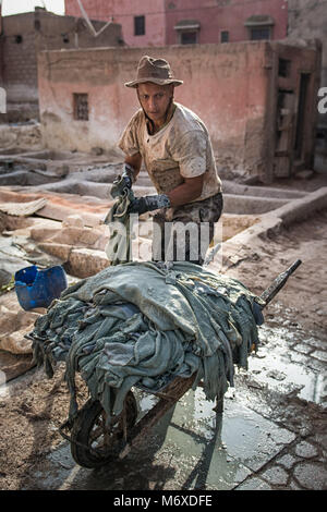 Un homme portant des gouttes du masque en cuir teinture & chimiques pour cuves une brouette. La tannerie est situé à Marrakech, Maroc. Banque D'Images