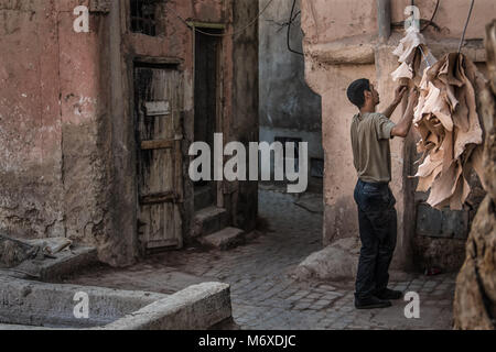 Un homme marocain grandes pièces de cuir pour sécher dans une tannerie de Marrakech au Maroc. Un passage est l'arrière-plan. Banque D'Images