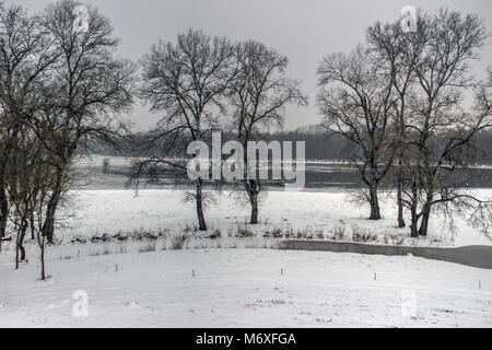 La Voïvodine, Serbie - Vue panoramique sur la neige couverts OBEDSKA Obedska Bara (marais littoral) Banque D'Images