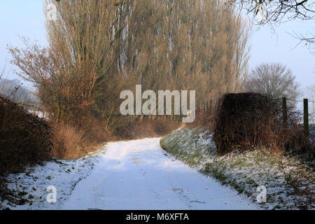 Voir d'arbre couvert de neige au-delà de la voie agricole bordée d'Pemsey Farm in Poggibonsi Lees, Ashford, Kent, Royaume-Uni Banque D'Images