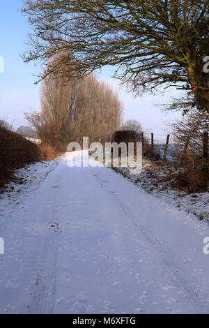 Voir d'arbre couvert de neige au-delà de la voie agricole bordée d'Pemsey Farm in Poggibonsi Lees, Ashford, Kent, Royaume-Uni Banque D'Images