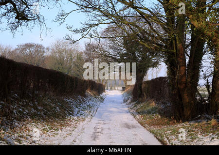 Voir d'arbre couvert de neige au-delà de la voie agricole bordée d'Pemsey Farm in Poggibonsi Lees, Ashford, Kent, Royaume-Uni Banque D'Images