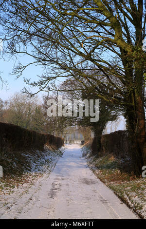 Voir d'arbre couvert de neige au-delà de la voie agricole bordée d'Pemsey Farm in Poggibonsi Lees, Ashford, Kent, Royaume-Uni Banque D'Images