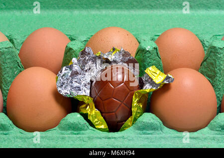 De pâques en chocolat dans une boîte d'oeufs de vrais œufs Banque D'Images