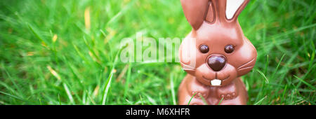 Lapin chocolat assis dans l'herbe Banque D'Images