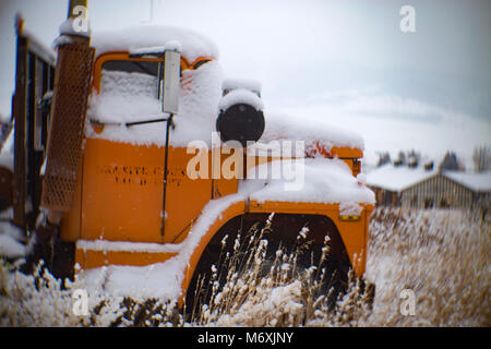 Un camion-benne Dodge 1975, dans un champ couvert de neige, dans la région de Philipsburg, Montana. Banque D'Images