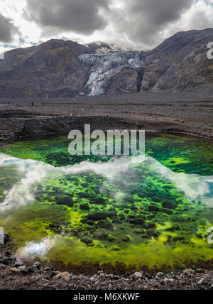 Les algues dans un petit étang, Glacier Gigjokull en arrière-plan, l'Islande Banque D'Images