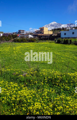 La neige a couvert le mont El tiede, s'élève au-dessus de Santa Cruz de Tenerife, Tenerife, Canaries, Espagne Banque D'Images