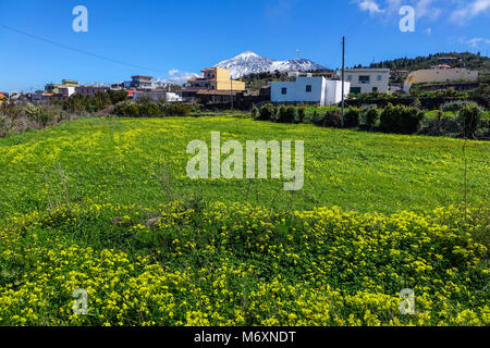 La neige a couvert le mont El tiede, s'élève au-dessus de Santa Cruz de Tenerife, Tenerife, Canaries, Espagne Banque D'Images