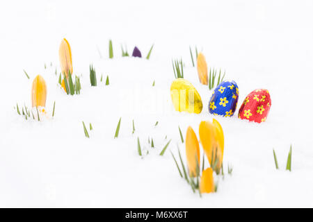 Libre de trois œufs de pâques en chocolat emballé dans golden, bleu et rouge d'aluminium portant sur la neige fraîche en plus les jeunes bourgeons crocus jaune à l'extérieur dans Banque D'Images