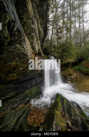 Raper Creek Falls est situé au nord de la Géorgie dans le comté de Habersham. Les chutes sont à environ 15 m de hauteur et unique dans l'aspect que le flux est en cours d'exécution sur un plateau rock diagonale avant de tomber dans la piscine ci-dessous. Banque D'Images