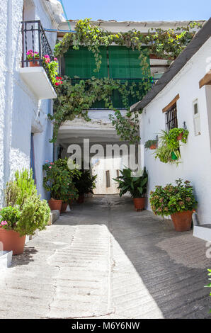 Allée traditionnelle appelée tinao caractéristique unique qui relie l'architecture bâtiments situés de part et d'autre d'étroites rues du village. La ville de Capileira. Alpujarra Banque D'Images