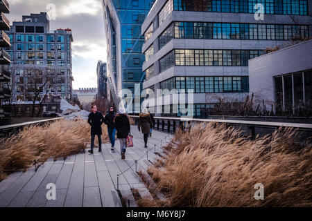 Le parc High Line à New York. La ligne haute est un parc public construit sur une ligne ferroviaire fret historique élevé au-dessus de la rue sur Manhattan West Side Banque D'Images