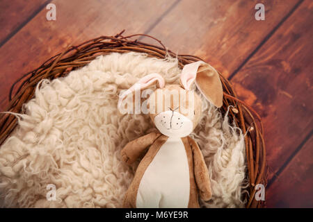 Contexte - teddy lapin nouveau-né pour l'utilisation d'un nid de tapis en peau de mouton Banque D'Images