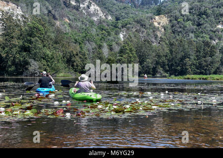 Les touristes de kayak ou de canot dans la rivière Knysna Garden Route dans l'Afrique du Sud sur une belle journée ensoleillée Banque D'Images