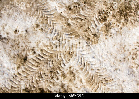 Des traces de pneus de voiture en diagonale sur une neige sale. Close up Vue de dessus Banque D'Images