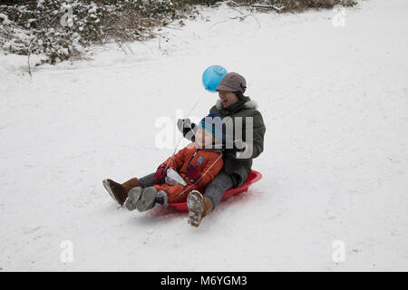 Luge neige in Highbury Park en tant qu'il gèle, surnommé la bête de l'Est en raison de la température froide sub zero en vents venant de Sibérie, descend sur Kings Heath le 3 mars 2018 à Birmingham, Royaume-Uni. Banque D'Images