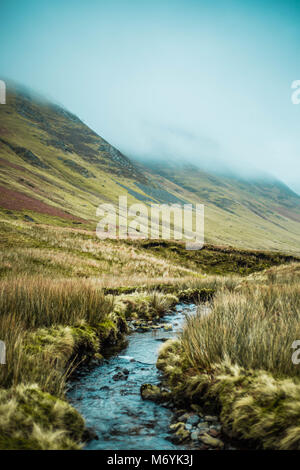 Rivière qui coule à partir de la mousse spéciale chute près de Buttermere, Angleterre. Banque D'Images